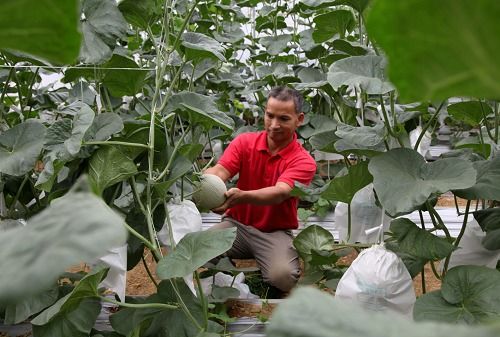 喜看連樟村 今日面貌新 機械設備研發助推鄉村振興