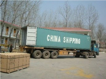 廣州至意大利國際貨運代理 專業(yè)散貨門對門服務(wù)與物流解決方案