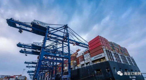 外貿貨代企業，是時候和伊朗業務說再見了